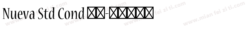 Nueva Std Cond 粗体字体转换